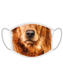 FERA Schutzmaske Golden Retriever