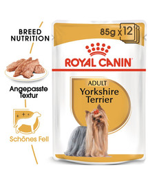 ROYAL CANIN Yorkshire Terrier Adult Hundefutter nass Mousse 12 x 85 g