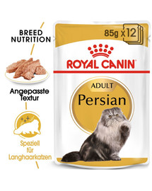 ROYAL CANIN Persian Adult Katzenfutter nass für Perser-Katzen 12 x 85g
