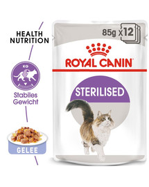 ROYAL CANIN STERILISED Nassfutter in Gelee für kastrierte Katzen 12x85g