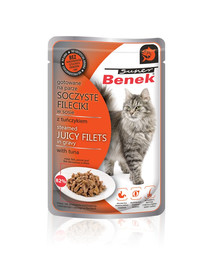 BENEK Super Filets in Thunfischsauce 85 g