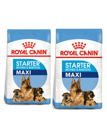 ROYAL CANIN MAXI Starter für tragende Hündin und Welpen 30 kg (2 x 15 kg)
