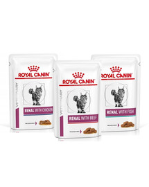 ROYAL CANIN Renal Feline Mix 72 x 85 g