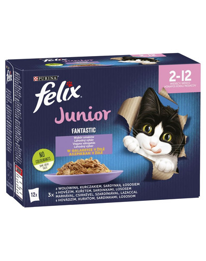 FELIX So gut wie es aussieht Junior Gemischte Vielfalt 12x85g