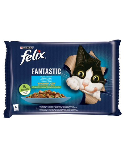 FELIX Fantastic So gut wie es ausssieht mit Lachs & Zucchini und Forelle & grünen Bohnen 4x85g