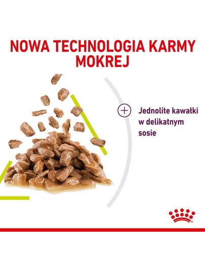 ROYAL CANIN Sensory smell 12x85 g