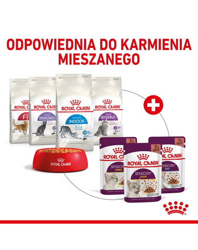 ROYAL CANIN Sensory smell 12x85 g