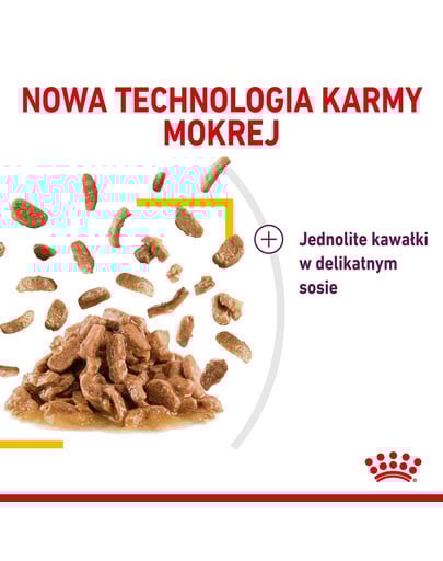 ROYAL CANIN Sensory Taste Stücke in Soße 12x85g für ausgewachsene Katzen zur Stimulierung des Geschmackserlebnisses