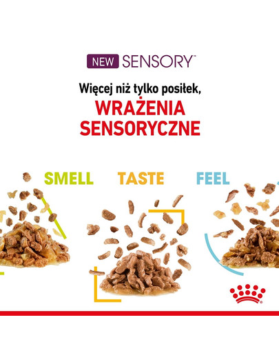 ROYAL CANIN Sensory Feel Katzen-Nassfutter 12x85 g