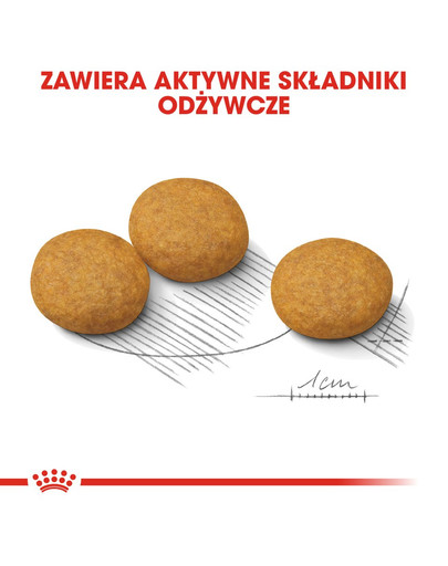 ROYAL CANIN Medium Dermacomfort 12 kg Trockenfutter für ausgewachsene Hunde, mittelgroße Rassen mit empfindlicher Haut