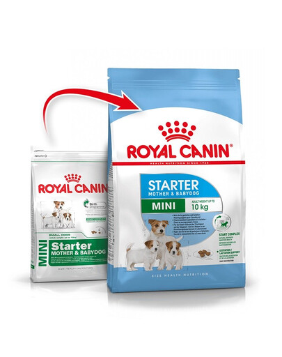 ROYAL CANIN Mini Starter Mother & Babydog 8 kg Trockenfutter für trächtige und säugende Hündinnen und Welpen, von 4 bis 8 Wochen, kleine Rassen
