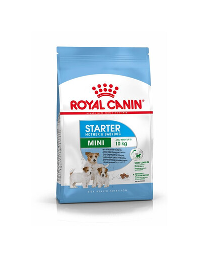 ROYAL CANIN Mini Starter Mother & Babydog 8 kg Trockenfutter für trächtige und säugende Hündinnen und Welpen, von 4 bis 8 Wochen, kleine Rassen