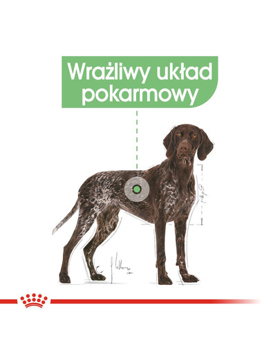 ROYAL CANIN CNN MAXI Sterilised Trockenfutter für kastrierte große Hunde 12 kg