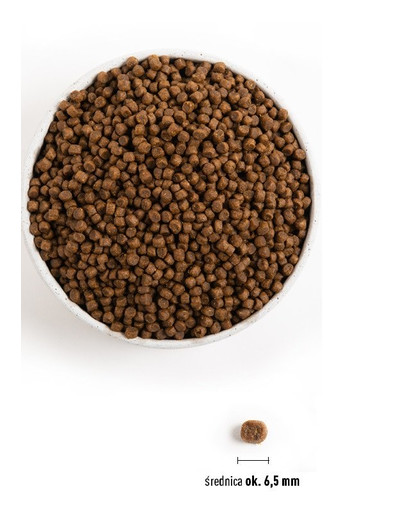 ACANA Puppy small breed dog 6 kg