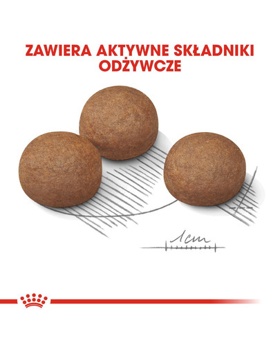 ROYAL CANIN CNN MAXI Sterilised Trockenfutter für kastrierte große Hunde 12 kg