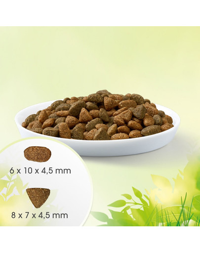 PERFECT FIT Natural Vitality mit Huhn und Truthahn für ausgewachsene Katzen 6 kg