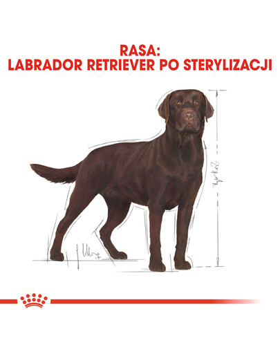ROYAL CANIN Labrador retriever adult sterilised 2 x 12kg