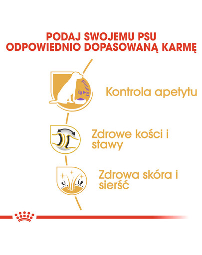 ROYAL CANIN Labrador retriever adult sterilised 2 x 12kg