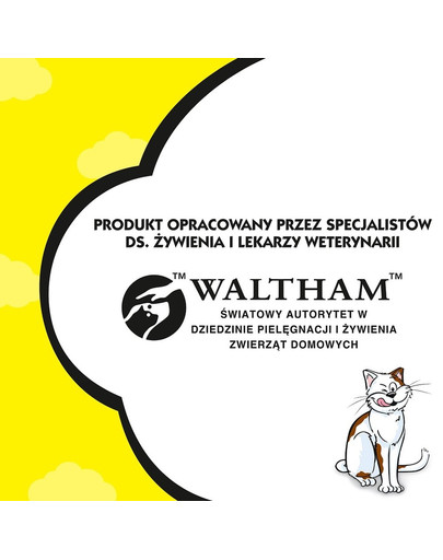 DREAMIES mit schmackhaftem Lachs 60g