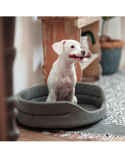 FERA Hundebett 47x38x15 cm oval mit Kissen grau