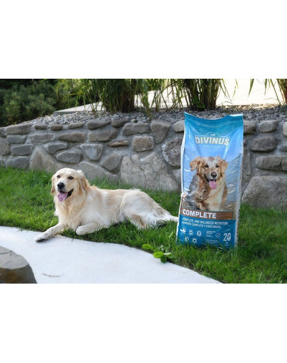 DIVINUS Complete  Vitamin- und Mineralfutter für wählerische Hunde 20 kg