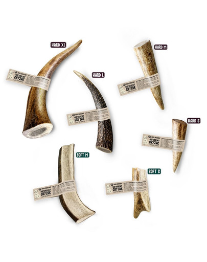 PAKA ZWIERZAKA Hirschgeweih für Hund kauen Hart L 15 cm