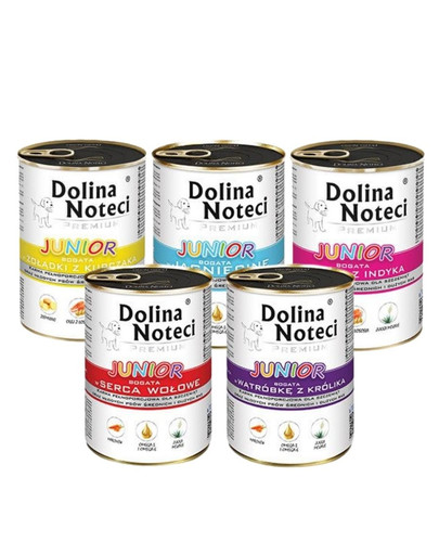 DOLINA NOTECI Junior Premium Mix 24x400g