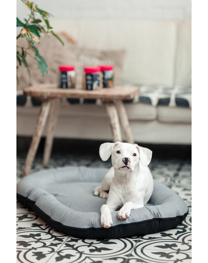 FERA Sky Pontoon Hundebett hellgrau M 88 x 62 cm