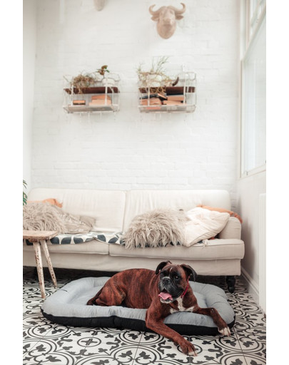 FERA Sky Pontoon Hundebett hellgrau M 88 x 62 cm