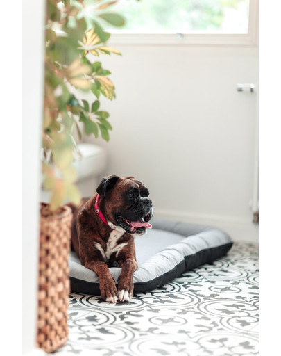 FERA Sky Pontoon Hundebett hellgrau L 100 x 73 cm