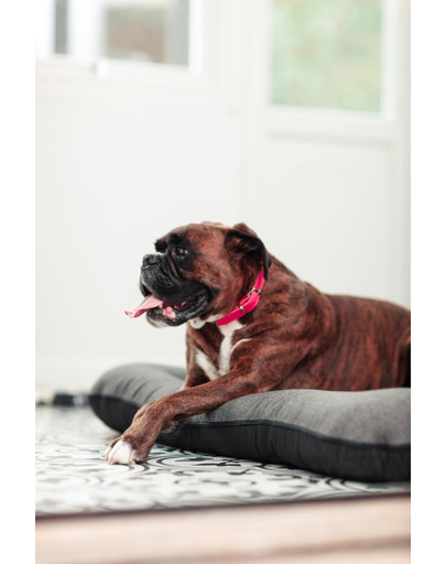 FERA Sky Pontoon Hundebett dunkelgrau XL 114 x 83 x 10 cm