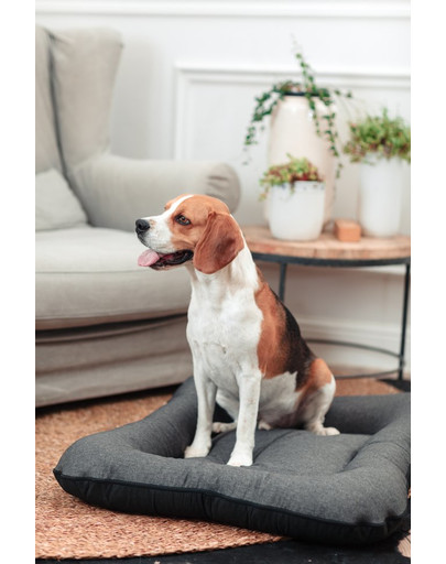 FERA Sky Pontoon Hundebett dunkelgrau S 70 x 46 cm