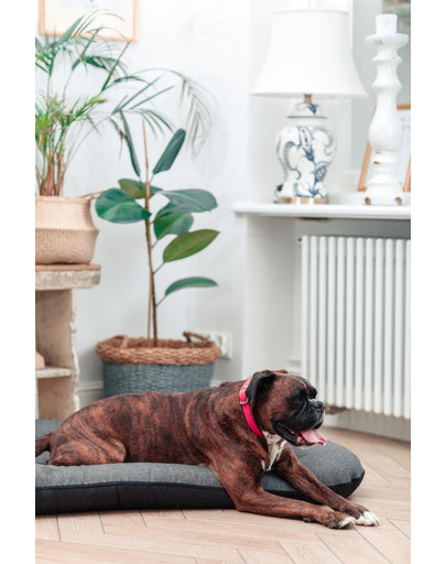 FERA Sky Pontoon Hundebett dunkelgrau XL 114 x 83 x 10 cm