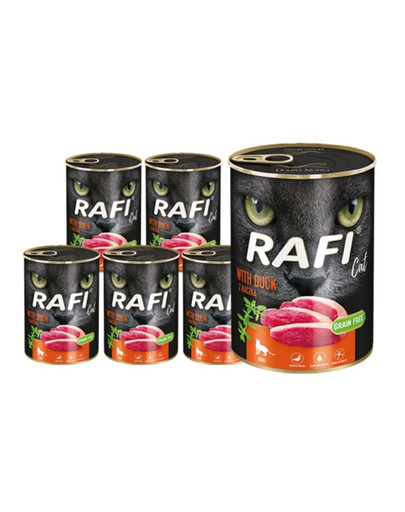 DOLINA NOTECI RAFI Cat Adult mit Ente 12x400 g