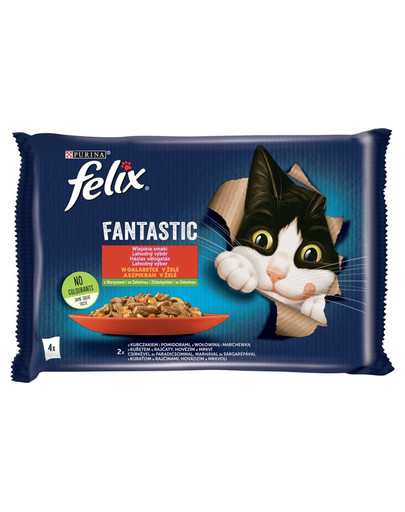 FELIX Fantastic So gut wie es ausssieht mit Rind & Karotten und Huhn & Tomate 4x85g