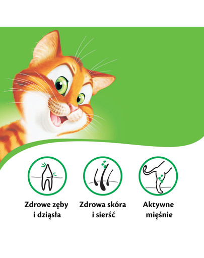 KITEKAT Katzentrockenfutter Huhn und Gemüse 12 kg