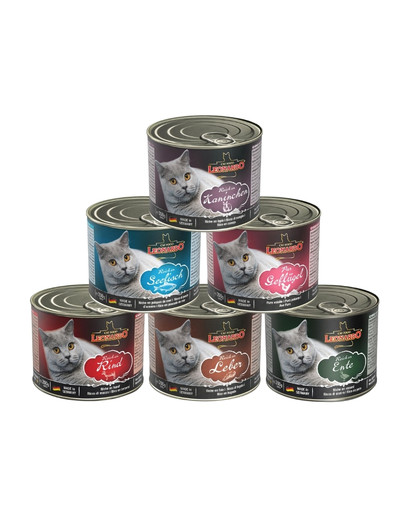 LEONARDO Quality Selection Set mit gemischten Geschmacksrichtungen 12 x 200 g