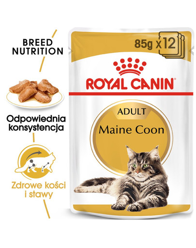 ROYAL CANIN Mainecoon 24x85 g
