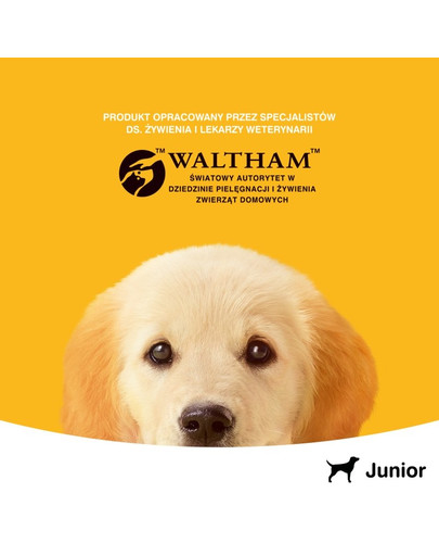 PEDIGREE mit Huhn in Gelee 400 g