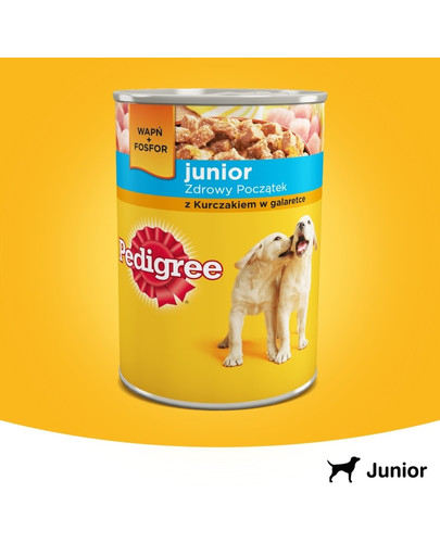 PEDIGREE mit Huhn in Gelee 400 g