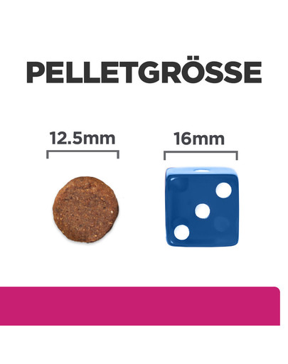 HILL'S Prescription Diet Canine GI Biome 10 kg Futter für Hunde mit Verdauungsproblemen