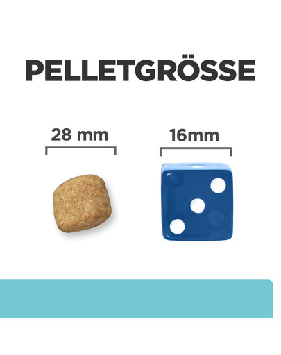 HILL'S Prescription Diet Canine t/d 4 kg Futter zur Förderung der Zahngesundheit Ihres Hundes