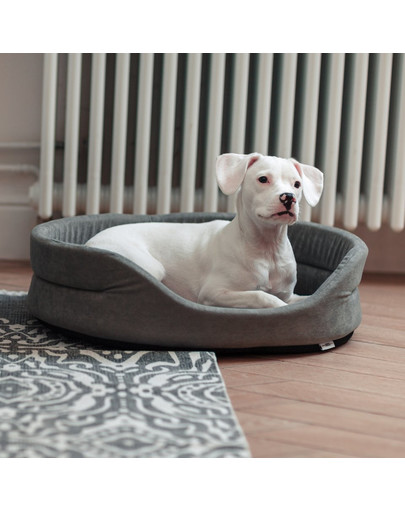 FERA ovales Hundebett mit Kissen 53x44x16 cm grau