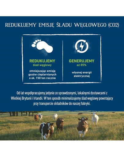 BUTCHER'S Original Rezept in Soße, Hundefutter, Teilstücke mit Rindfleisch in Soße, 400g