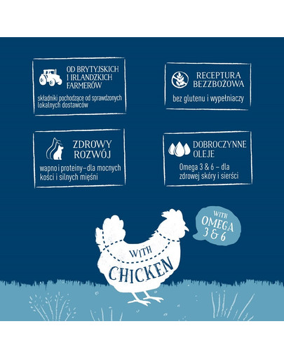 BUTCHER'S Original Junior, Hundefutter, Hühnerstücke in Gelee, 400g