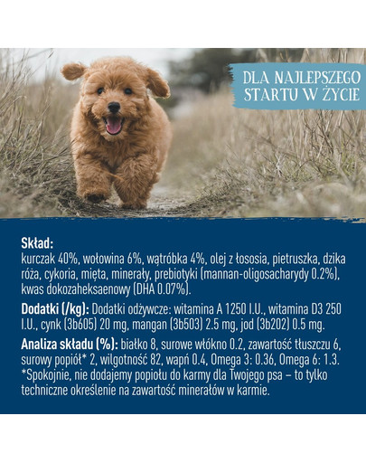 BUTCHER'S Original Junior, Hundefutter, Hühnerstücke in Gelee, 400g