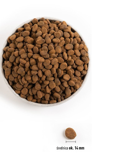 ORIJEN Tundra Dog 6 kg