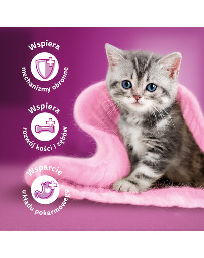 WHISKAS Junior Classic Meals Hähnchen und Rindfleisch in Sauce 4x85g