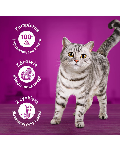 WHISKAS Pure Delight Geflügelfrikadellen mit Huhn und Pute 4x85g