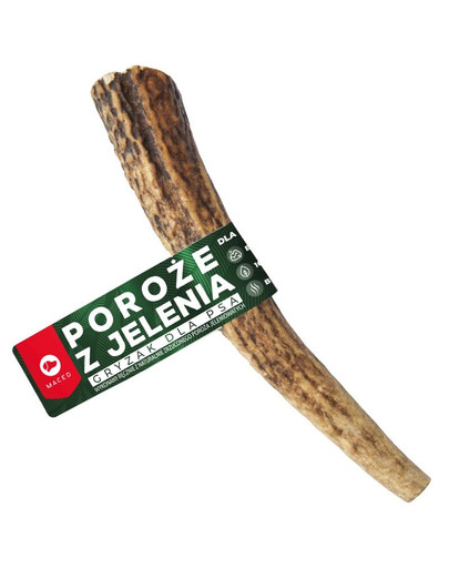 MACED HIRSCHGÄNGER L